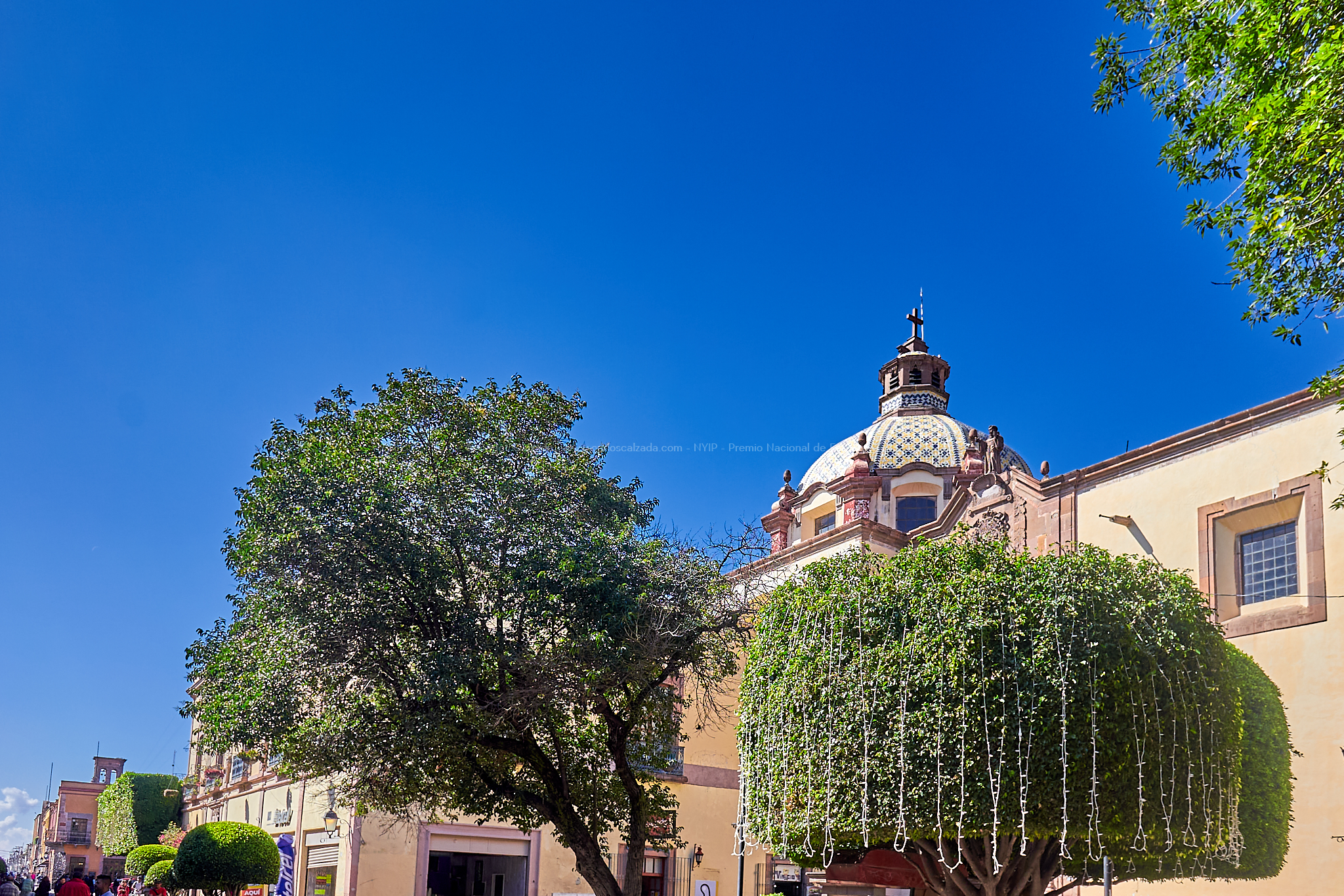 Centro - dic. 08 2023 - DSC01446.jpg